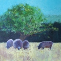 sheep, country scene, grazing