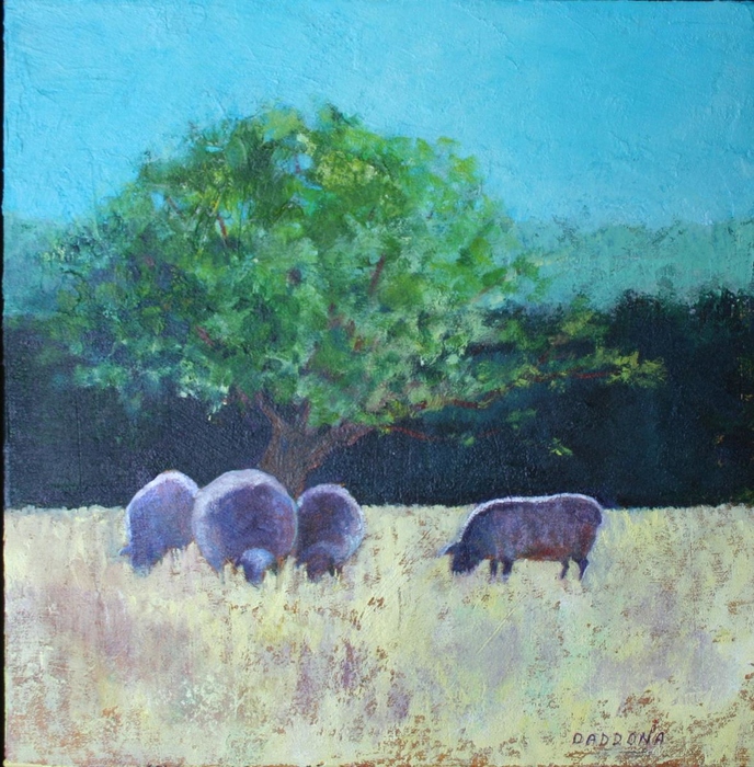 sheep, country scene, grazing